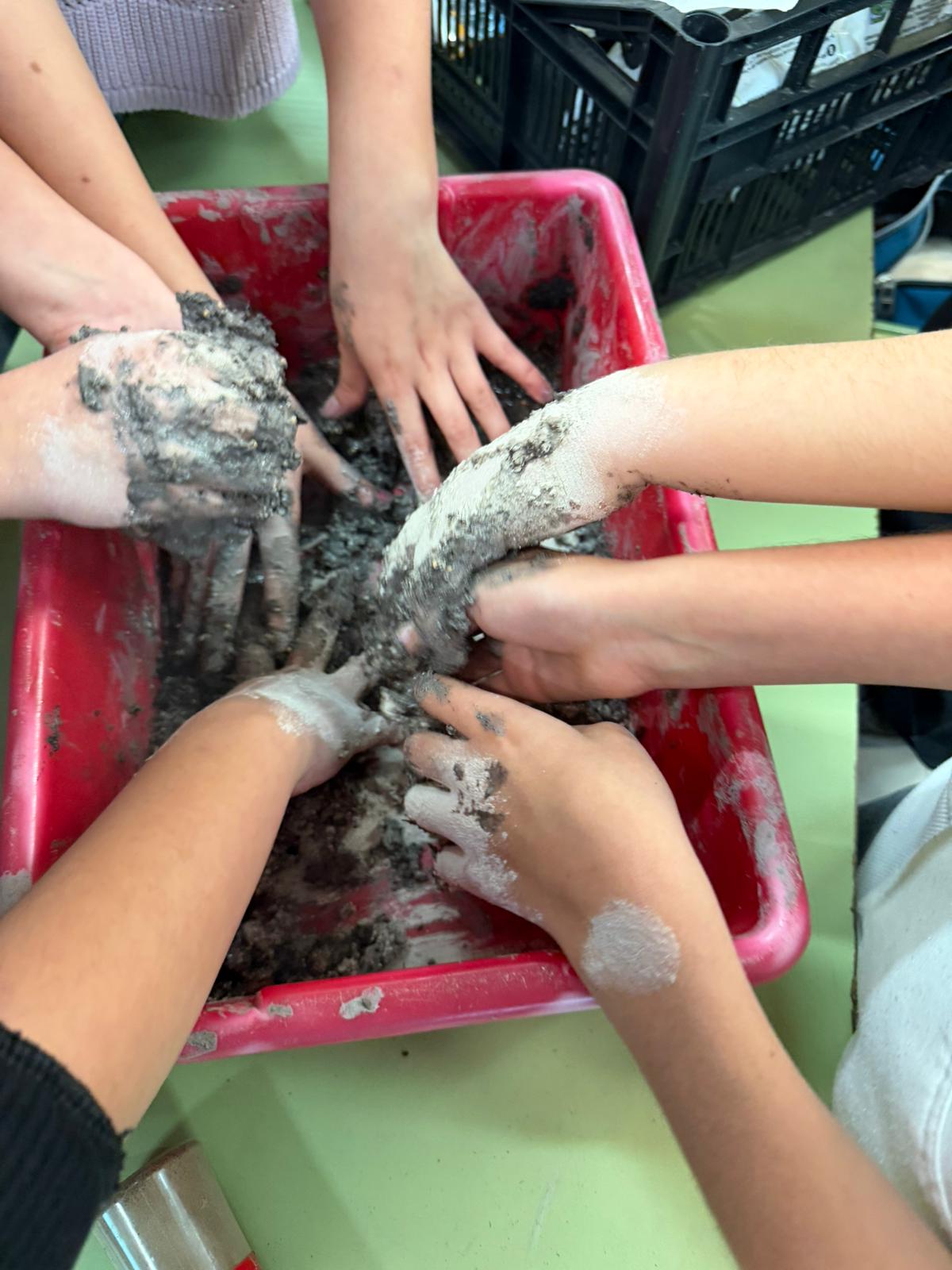 WhatsApp-Image-2026-01-26-at-17.30.14-1