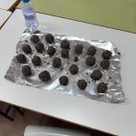 WhatsApp Image 2026-01-28 at 16.04.53 (1)