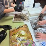 WhatsApp Image 2026-01-28 at 16.04.53