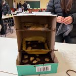 WhatsApp Image 2026-01-28 at 16.04.53 (2)