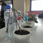 WhatsApp Image 2026-01-28 at 16.04.53 (4)