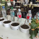 WhatsApp Image 2026-01-28 at 16.04.54