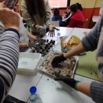 WhatsApp Image 2026-01-29 at 13.54.10