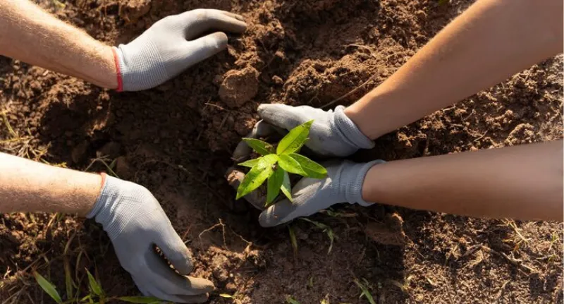 gente-plantando-arboles-campo_23-2149401230